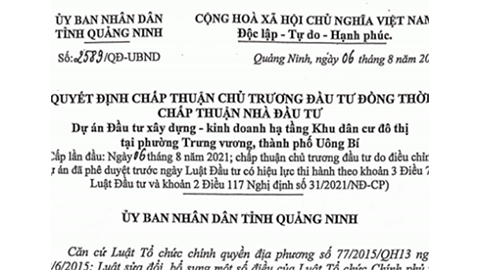 Quyết định chấp thuận chủ trương đầu tư và chấp thuận nhà đầu tư Dự án Khu dân cư đô thị phường Trưng Vương